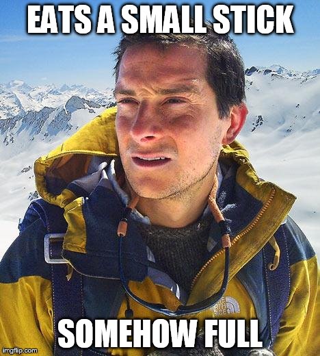 Bear Grylls | EATS A SMALL STICK SOMEHOW FULL | image tagged in memes,bear grylls | made w/ Imgflip meme maker