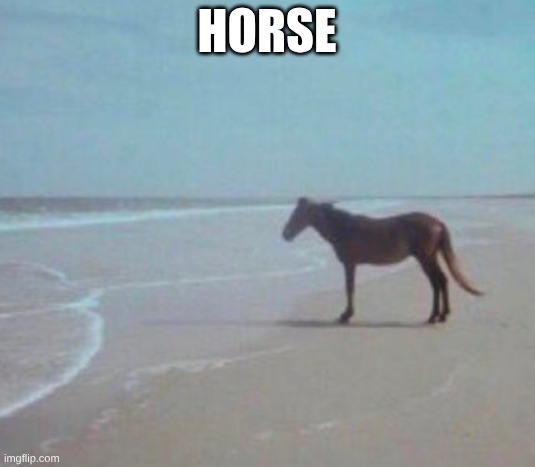 horse | horse | image tagged in man | made w/ Imgflip meme maker