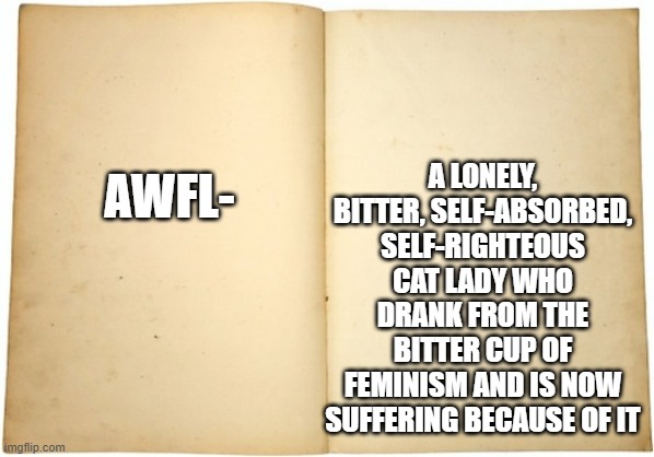 Dictionary meme | A lonely, bitter, self-absorbed, self-righteous cat lady who drank from the bitter cup of feminism and is now suffering because of it; AWFL- | image tagged in dictionary meme | made w/ Imgflip meme maker