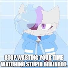 Stop It | Stop wasting your time watching stupid brainrot. | image tagged in really nibba sashley,memes,stop it | made w/ Imgflip meme maker