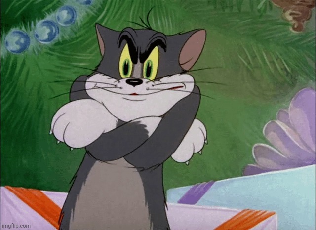 Tom Crossing Arms | image tagged in tom crossing arms | made w/ Imgflip meme maker