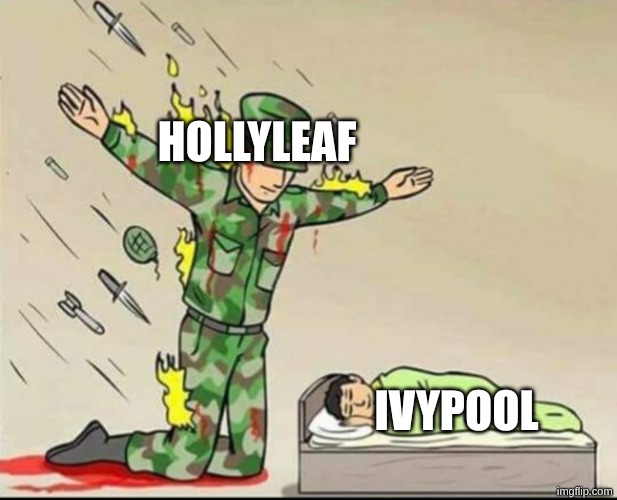 Soldier stopping daggers | HOLLYLEAF; IVYPOOL | image tagged in soldier stopping daggers,remix | made w/ Imgflip meme maker