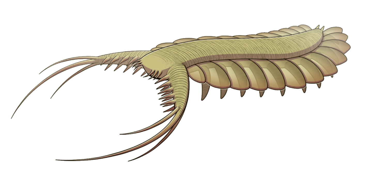 Pambdelurion Blank Meme Template