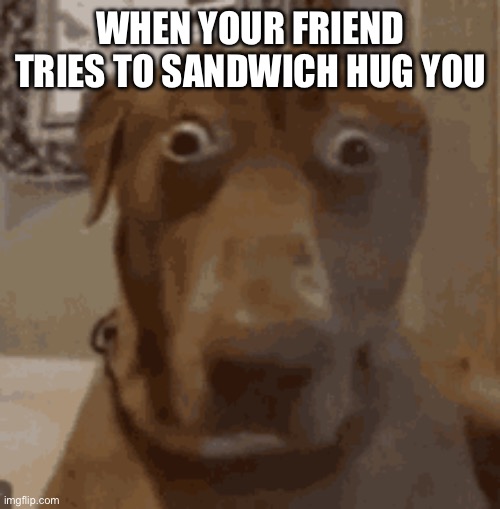 Sandwich Hugs | When your friend tries to sandwich hug you | image tagged in hugs,sandwich,sus,gay jokes | made w/ Imgflip meme maker