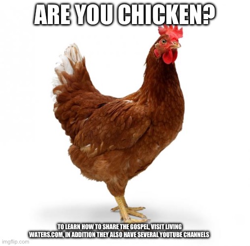 Are you chicken? | Are you chicken? To learn how to share the gospel, visit Living Waters.com, in addition they also have several YouTube channels | image tagged in chicken,evangelicals,christianity,gifs,memes | made w/ Imgflip meme maker