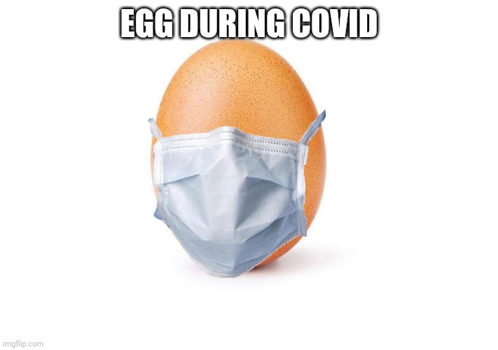 Eggbert | Egg during COVID | image tagged in eggbert | made w/ Imgflip meme maker