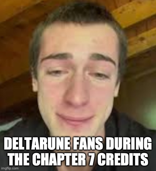 crying streamer | deltarune fans during the chapter 7 credits | image tagged in crying streamer | made w/ Imgflip meme maker