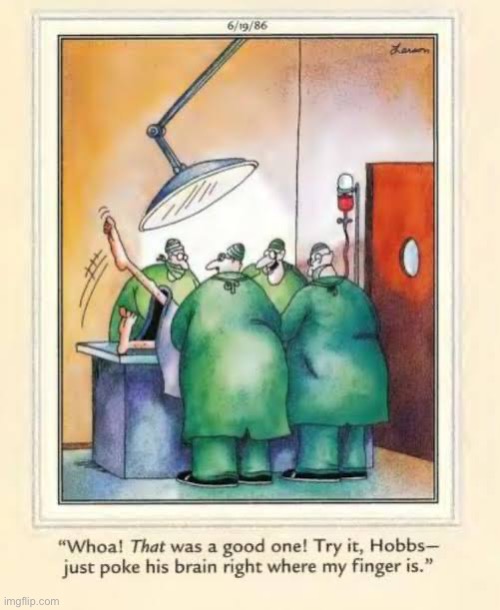 OR shenanigans… | image tagged in the far side,comics,or,poke,brain,shenanigans | made w/ Imgflip meme maker