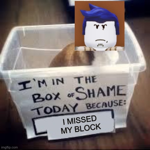 box of shame dog | I missed my block | image tagged in bro why did i get a tag after me,hahahahahahahaaahaahahaah | made w/ Imgflip meme maker