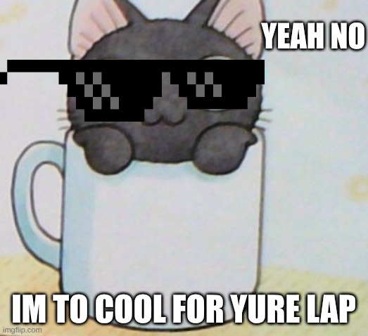 yeah no kittien | yeah no; im to cool for yure lap | image tagged in fuuny,sus | made w/ Imgflip meme maker