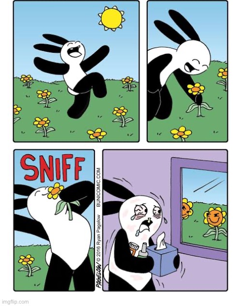 Buni Comics | image tagged in comics,buni comics,spring,flowers,sniff,allergies | made w/ Imgflip meme maker