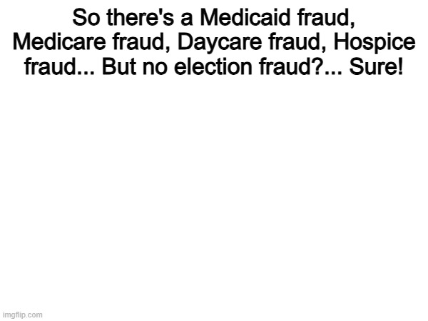 100% | So there's a Medicaid fraud, Medicare fraud, Daycare fraud, Hospice fraud... But no election fraud?... Sure! | image tagged in memes,funny,election fraud,politics,political meme | made w/ Imgflip meme maker