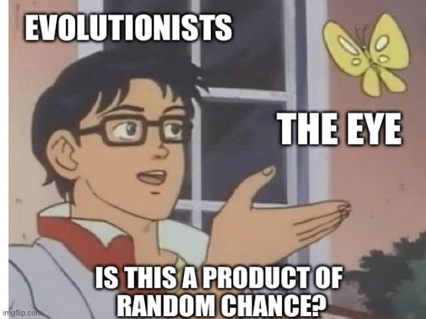 Is this a product of random chance? | made w/ Imgflip meme maker