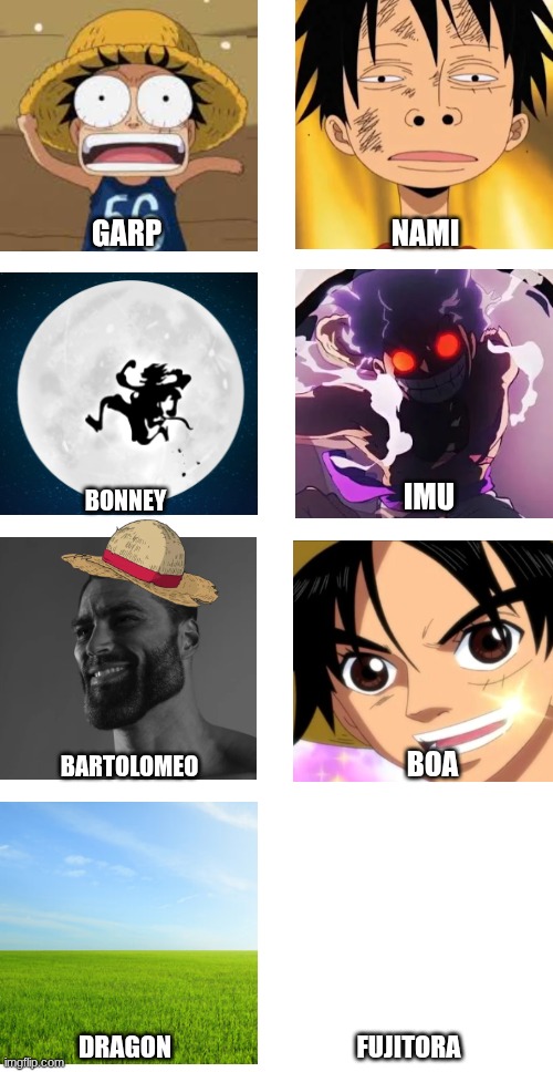 how one piece characters see luffy | garp; nami; imu; bonney; boa; bartolomeo; dragon; fujitora | image tagged in one piece | made w/ Imgflip meme maker