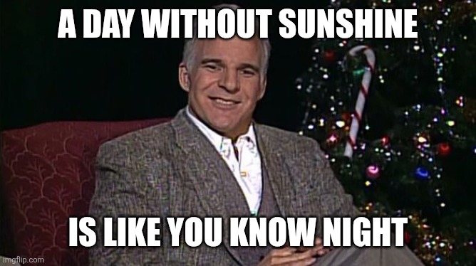 Steve Martin | A day without sunshine; Is like you know night | image tagged in steve martin wish,funny memes | made w/ Imgflip meme maker