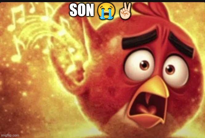 angry bird with ear open shocked | Son ?✌? | image tagged in angry bird with ear open shocked | made w/ Imgflip meme maker