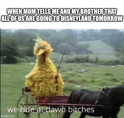 We're Not Going Now, But Someday We Will Go | When Mom Tells Me And My Brother That All Of Us Are Going To Disneyland Tomorrow | image tagged in we ride at dawn bitches | made w/ Imgflip meme maker