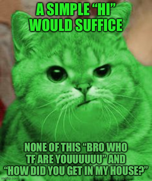 RayCat Annoyed | A simple “hi” would suffice; None of this “bro who tf are youuuuuu” and “how did you get in my house?” | image tagged in raycat annoyed | made w/ Imgflip meme maker
