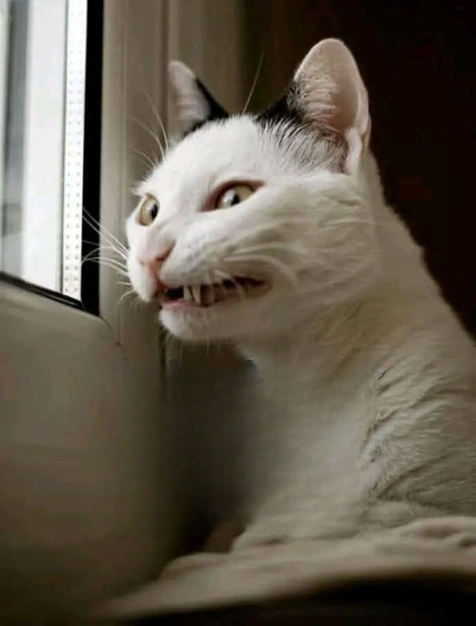 Humans Driving me Crazy Blank Meme Template