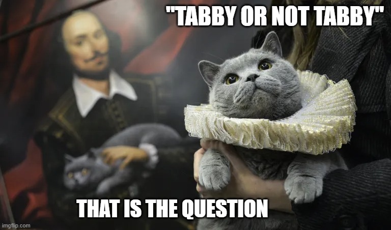 This cat stars in a Shakespeare play with a play on words. | "tabby or not tabby"; That is the question | image tagged in cat,kittens,funny,humor,play on words,shakespeare | made w/ Imgflip meme maker