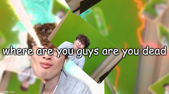 HWAK TUHA | where are you guys are you dead | image tagged in hwak tuha | made w/ Imgflip meme maker