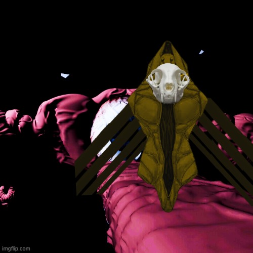 Naoya Cat | made w/ Imgflip meme maker