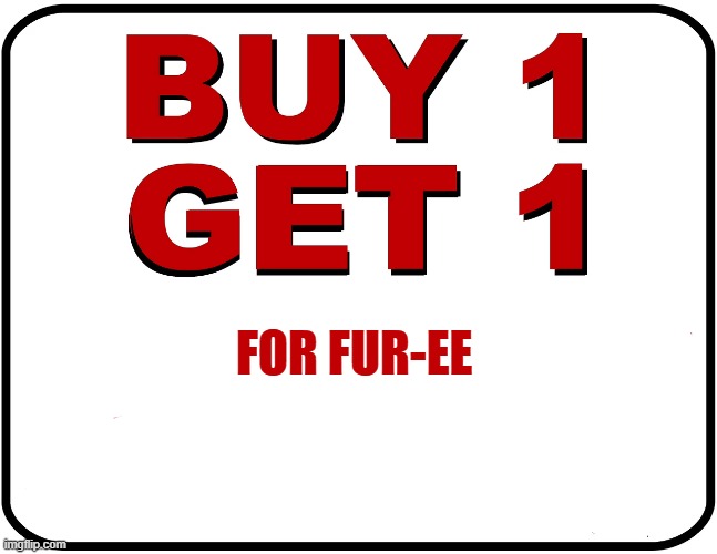 Here's a sign from a cats favorite type of sale.   --  funny  -- | for fur-ee | image tagged in cat,kittens,humor,funny,sales,sign | made w/ Imgflip meme maker