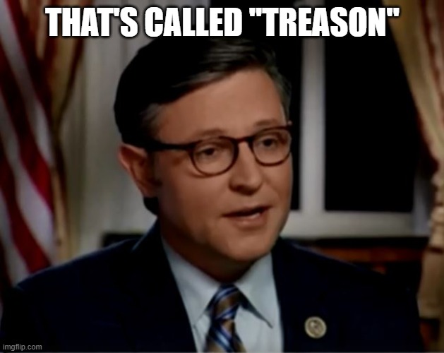 Mike Johnson | that's called "treason" | image tagged in mike johnson | made w/ Imgflip meme maker