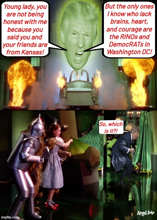 Dorothy discovers Trump is the wizard | But the only ones
I know who lack
brains, heart,
and courage are
the RINOs and
DemocRATs in
Washington DC! Young lady, you
are not being
honest with me
because you
said you and 
your friends are
from Kansas! So, which
is it?! Angel Soto | image tagged in trump is revealed as the wizard,the wizard of oz,democrats,heart,brains,washington dc | made w/ Imgflip meme maker