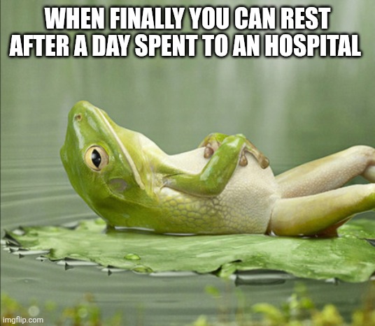 FROG GOOD NIGHT | When finally you can rest after a day spent to an hospital | image tagged in frog good night | made w/ Imgflip meme maker