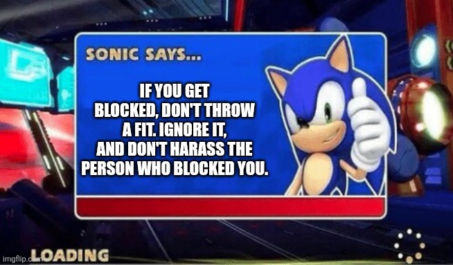 why do people not handle being blocked? | IF YOU GET BLOCKED, DON'T THROW A FIT. IGNORE IT, AND DON'T HARASS THE PERSON WHO BLOCKED YOU. | image tagged in sonic says,blocked,block | made w/ Imgflip meme maker