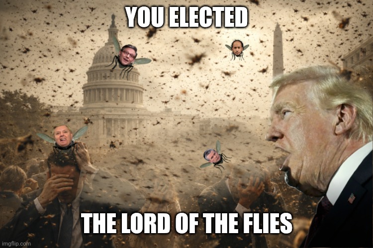 Beelzebub | You elected; The lord of the flies | image tagged in demon,liar,tariffs,war,narcissist | made w/ Imgflip meme maker