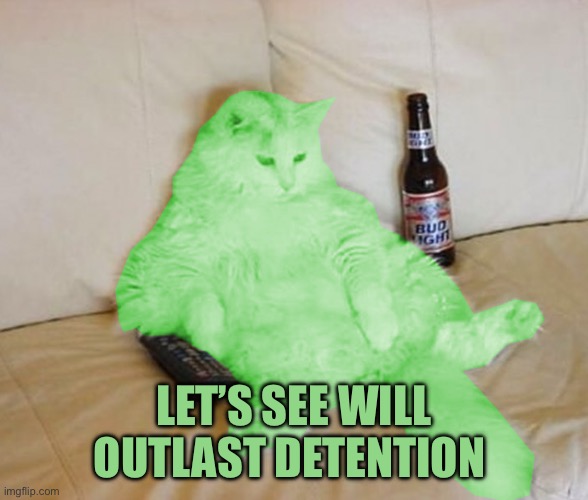 RayCat Chillin' | Let’s see will outlast detention | image tagged in raycat chillin' | made w/ Imgflip meme maker