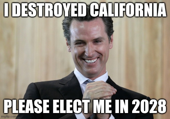 NEVER | I destroyed california; please elect me in 2028 | image tagged in scheming gavin newsom | made w/ Imgflip meme maker