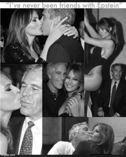 Found on Facebook (these photos are out of context; she may have been just gold-digging). | image tagged in memes,melania trump,jeffrey epstein | made w/ Imgflip meme maker