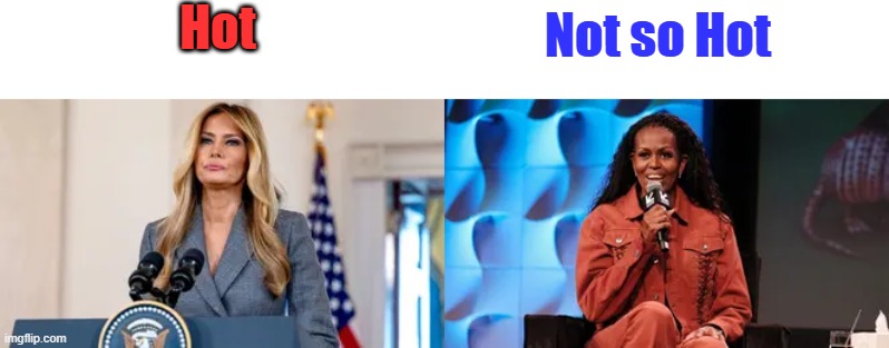 Hot; Not so Hot | made w/ Imgflip meme maker