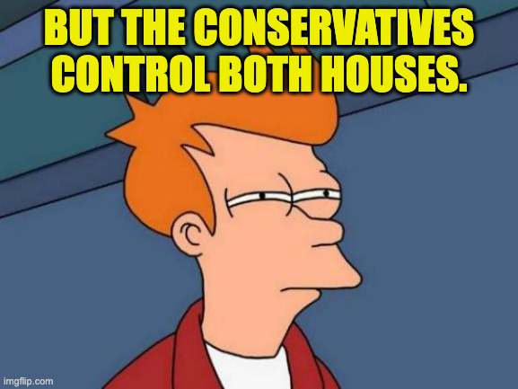 but the Conservatives control both houses. | image tagged in memes,futurama fry | made w/ Imgflip meme maker