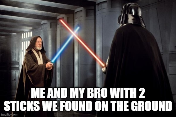 Star Wars duel | me and my bro with 2 sticks we found on the ground | image tagged in star wars duel | made w/ Imgflip meme maker