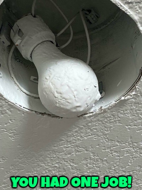 Why The Hell | You had one job! | image tagged in job fail,you had one job,light bulb,duhhh dumbass,painting,do you are have stupid | made w/ Imgflip meme maker