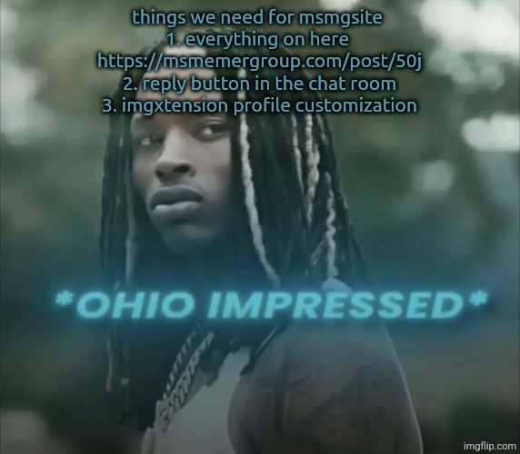 peak stream btw | things we need for msmgsite 
1. everything on here 
https://msmemergroup.com/post/50j

2. reply button in the chat room

3. imgxtension profile customization | image tagged in ohio impressed | made w/ Imgflip meme maker