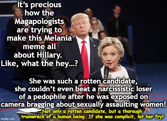 It’s precious how the Magapologists are trying to make this Melania meme all about Hillary.  Like, what the hey…? Not only a rotten candidat | made w/ Imgflip meme maker