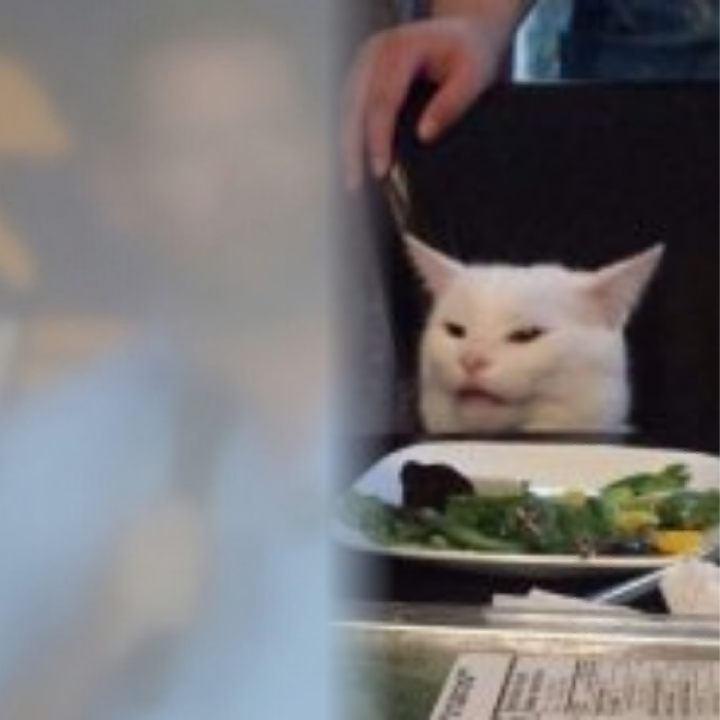 Eric Swalwell and Smudge Blank Meme Template