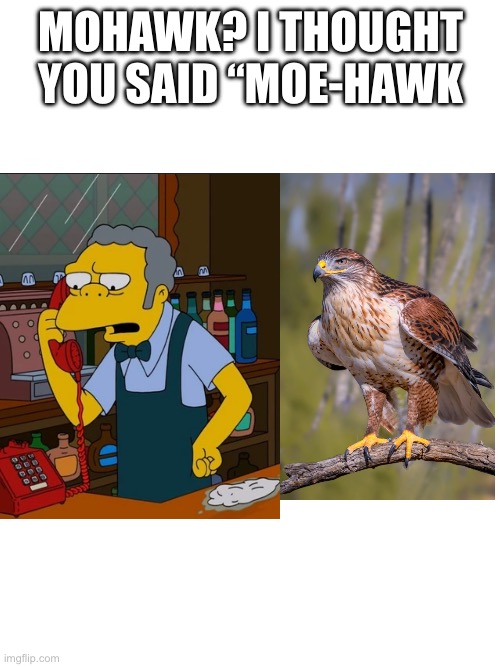 Blank White Template | Mohawk? I thought you said “Moe-Hawk | image tagged in blank white template | made w/ Imgflip meme maker
