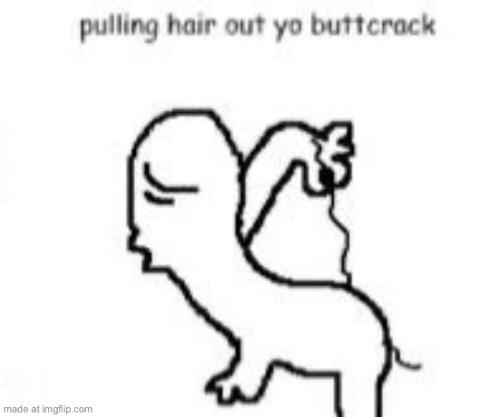 Pulling hair out yo buttcrack | image tagged in pulling hair out yo buttcrack | made w/ Imgflip meme maker