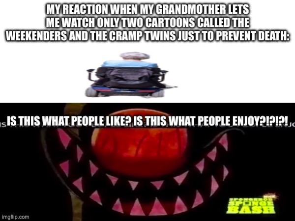 A reaction meme poking fun at a grandma who lets me watch only two cartoons: The Weekenders and The Cramp Twins. | image tagged in reaction,wtf,grandma | made w/ Imgflip meme maker