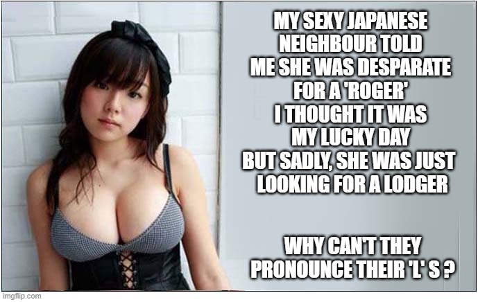 So Disappointing ! | My sexy japanese
neighbour told me she was desparate
for a 'roger'
i thought it was
 my lucky day 
but sadly, she was just 
 looking for a lodger; why can't they pronounce their 'l' s ? | image tagged in japanese,roger,lodger,disappointment | made w/ Imgflip meme maker