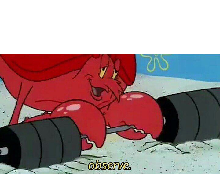 zve on int checks Blank Meme Template