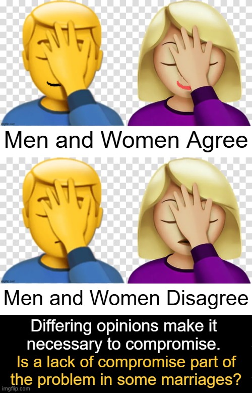 You can't always get your way.  :) | Men and Women Agree; Men and Women Disagree; Differing opinions make it 
necessary to compromise. Is a lack of compromise part of
the problem in some marriages? | image tagged in relationships,compromise,opinions,marriage,give and take,men and women | made w/ Imgflip meme maker