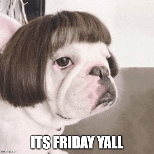 The weekend is here | its friday yall | image tagged in wigging,tgif,wigging out,weekend | made w/ Imgflip meme maker