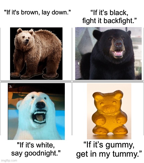 Bears: a survival guide | “If it’s black, fight it backfight.”; "If it's brown, lay down."; “If it’s gummy, get in my tummy.”; "If it's white, say goodnight." | image tagged in memes,blank comic panel 2x2,bears,gummy bears,polar bear,grizzly bear | made w/ Imgflip meme maker